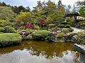 Japan464
