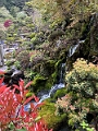 Japan473