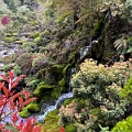 Japan474