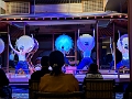 Japan487