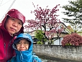 Japan496