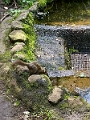Japan565
