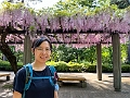 Japan575