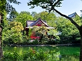 Japan576
