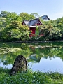 Japan577