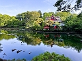 Japan579