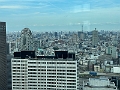 Japan611
