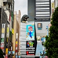 Japan630