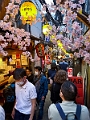 Japan642