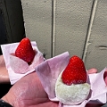 Japan021