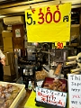 Japan242