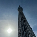 Japan279