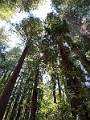 SanFrancisco048