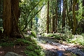 SanFrancisco055