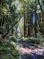 SanFrancisco056