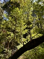 SanFrancisco065
