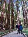 SanFrancisco073