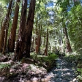 SanFrancisco076