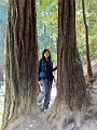 SanFrancisco082