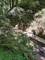 SanFrancisco084