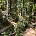 SanFrancisco086