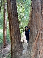 SanFrancisco091