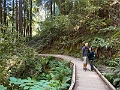 SanFrancisco096