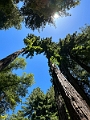 SanFrancisco098