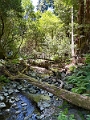 SanFrancisco106