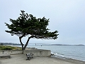 SanFrancisco132