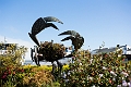 SanFrancisco253