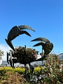 SanFrancisco255