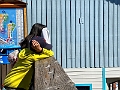 SanFrancisco262