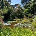 SanFrancisco278