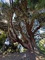 SanFrancisco287
