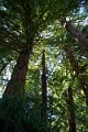 SanFrancisco288