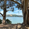 SanFrancisco336