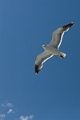 SanFrancisco357