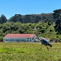 SanFrancisco420