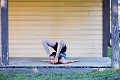 KaitlynDance026
