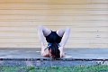KaitlynDance029