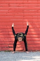 KaitlynDance112