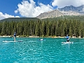 Paddle026