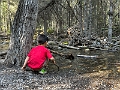 Canmore064