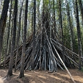 Canmore076