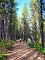 Canmore077