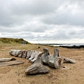 Iceland864