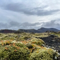 Iceland1010