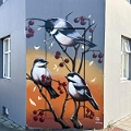 Iceland047
