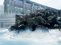 Iceland178
